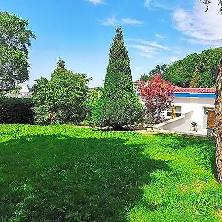 Sturmmoewe